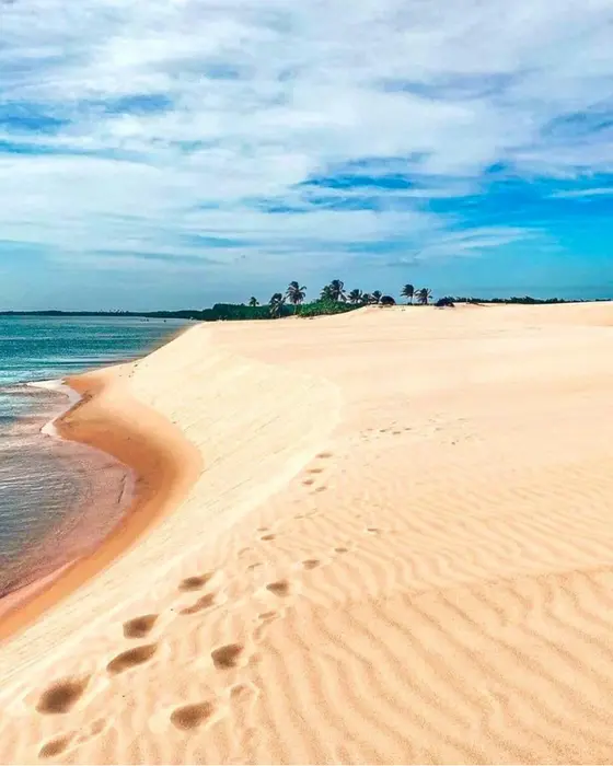 Duna de areia clara com marcas de pé descendo até a água, e coqueiros ao longe